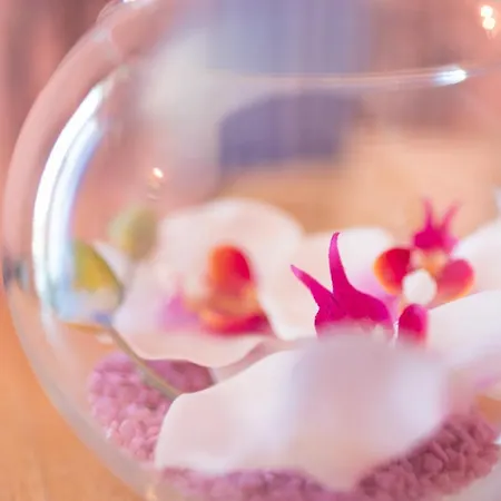 Appartement Saulan *